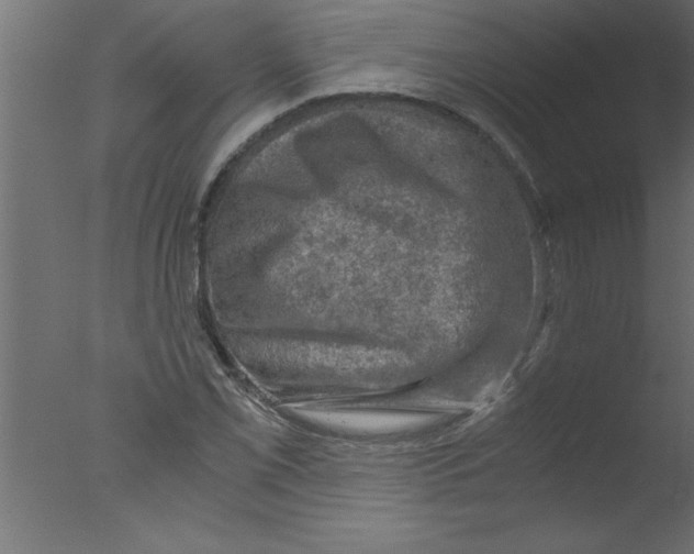 X0000076031069200610201821