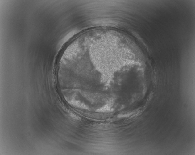 X0000076031071200610201821