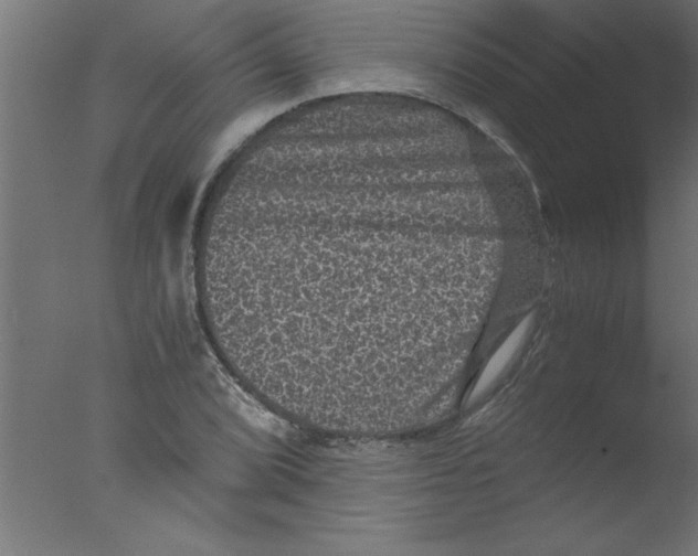 X0000076031072200610201821