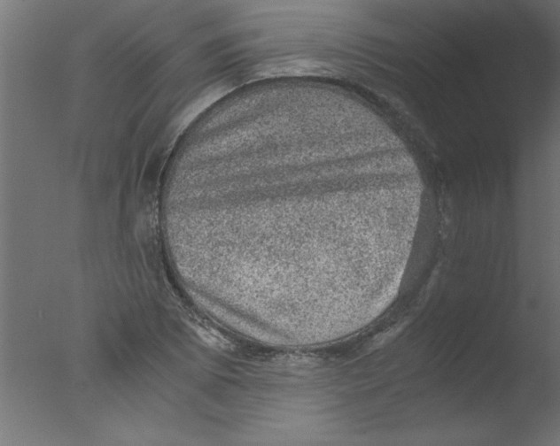 X0000076031073200610201821