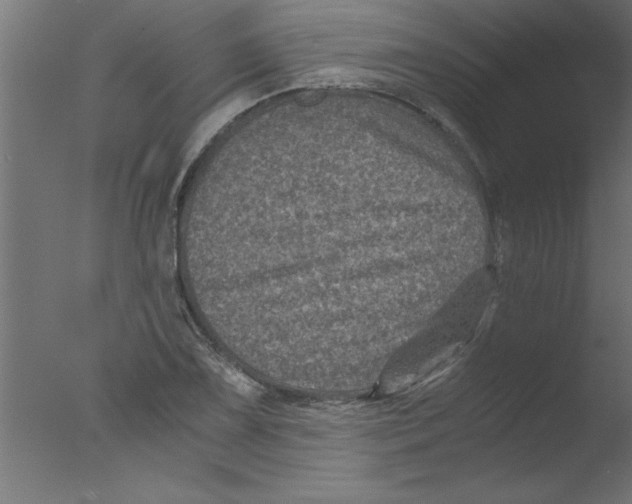 X0000076031075200610201821