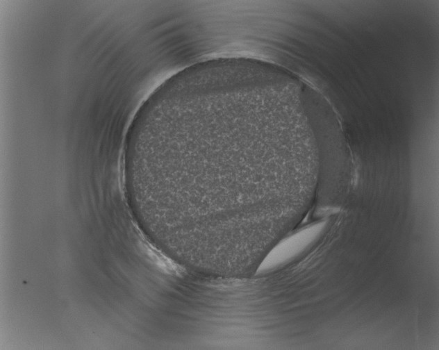 X0000076031076200610201821