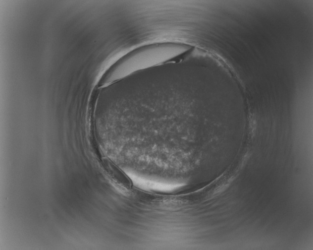 X0000076031077200610201821