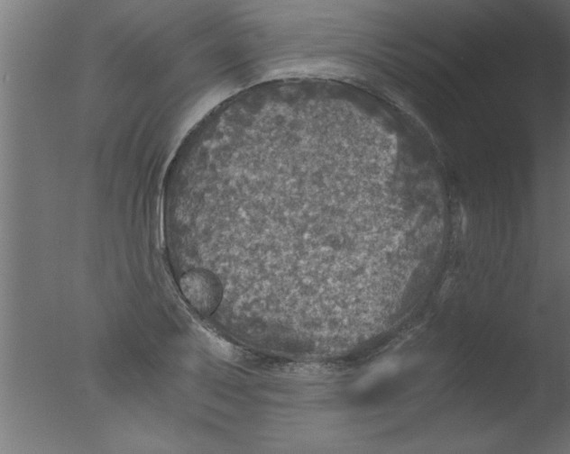 X0000076031079200610201821