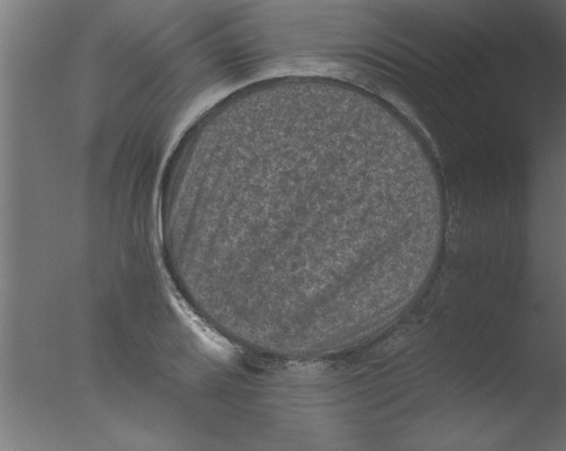 X0000076031080200610201821