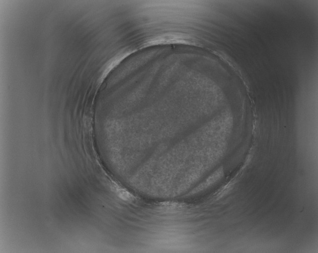 X0000076031081200610201821