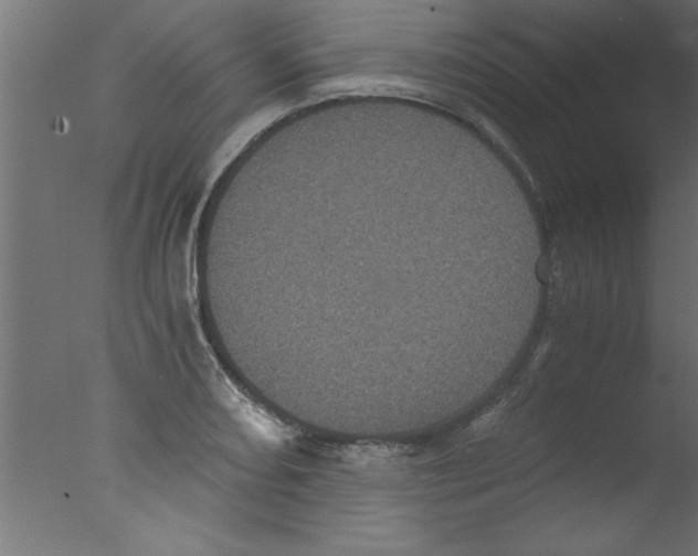 X0000076031082200610201821