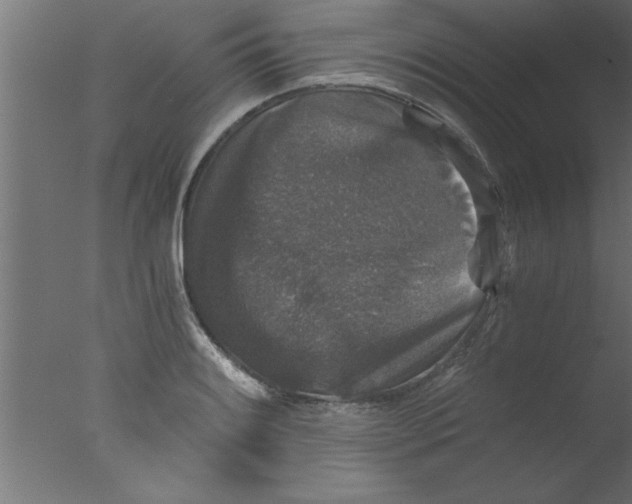 X0000076031084200610201821