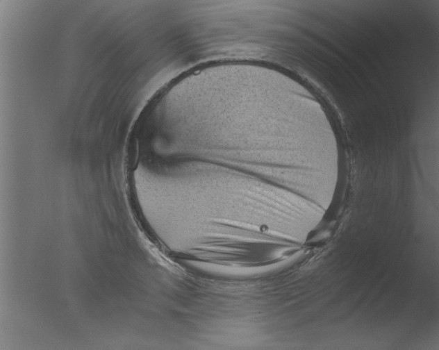 X0000076031085200610201821