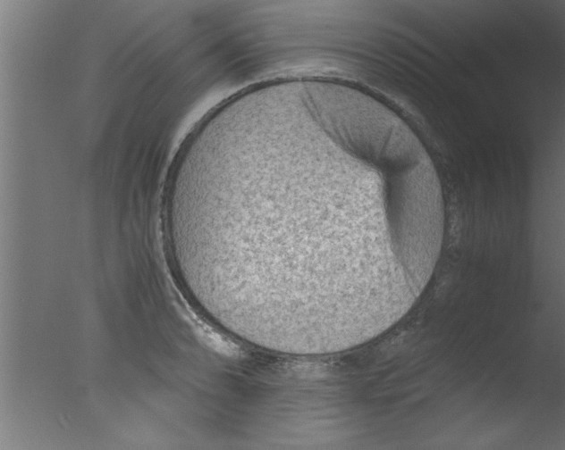 X0000076031086200610201821