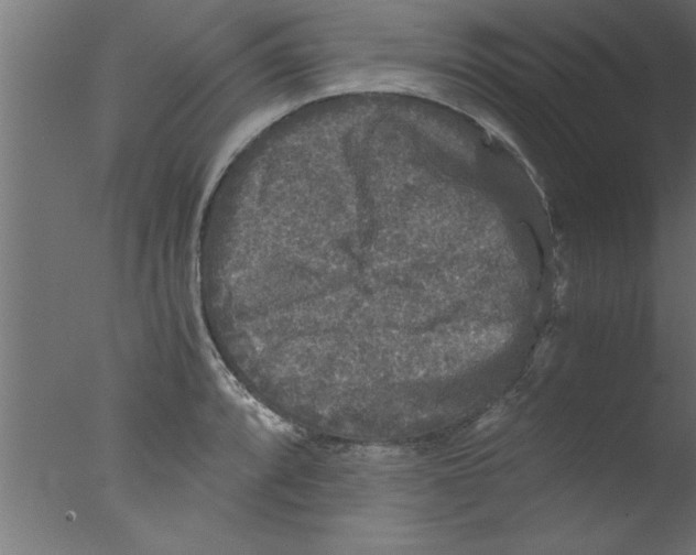 X0000076031088200610201821