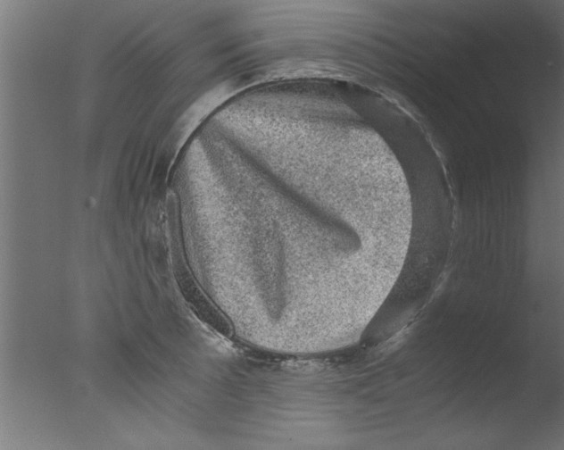 X0000076031089200610201821