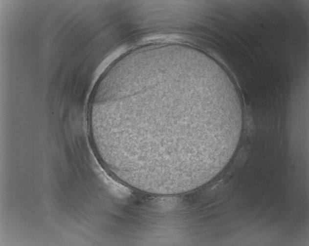 X0000076031090200610201821