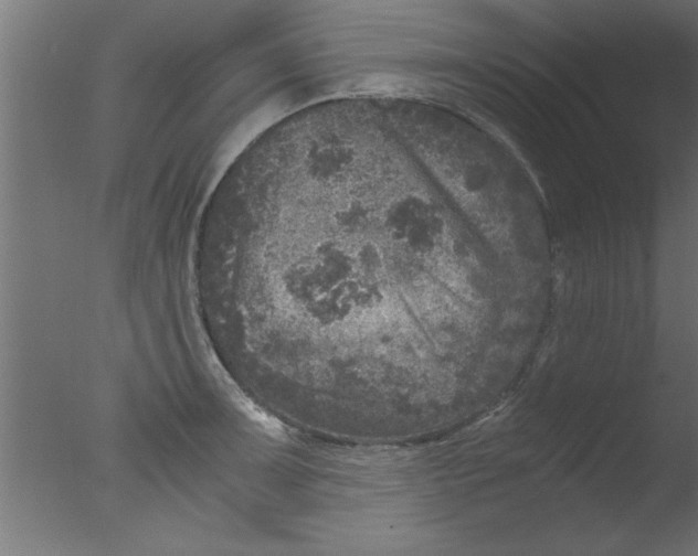 X0000076031091200610201821