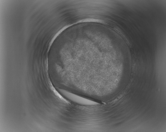 X0000076031092200610201821