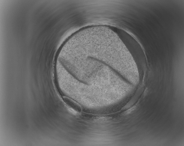 X0000076031093200610201821