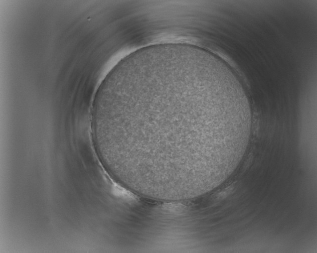 X0000076031094200610201821