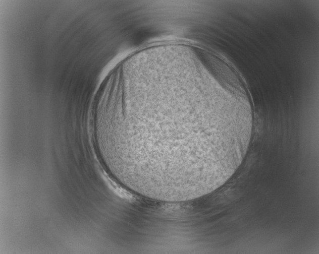 X0000076031098200610201821