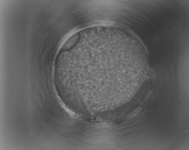 X0000076031099200610201820