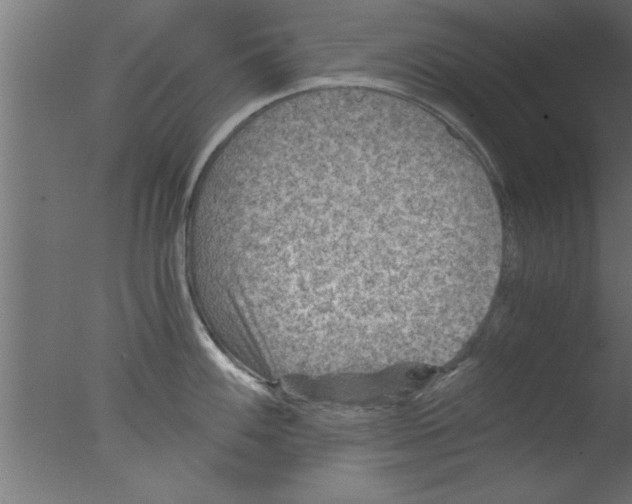 X0000076031100200610201820