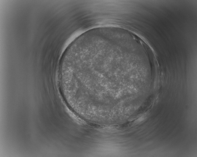 X0000076031101200610201820