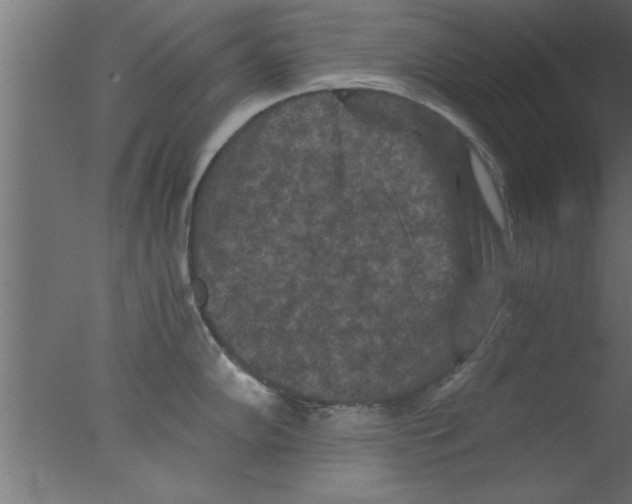 X0000076031102200610201820