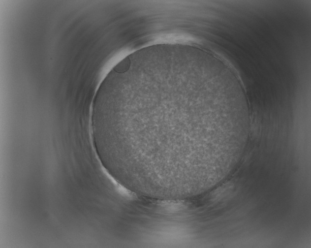 X0000076031103200610201820