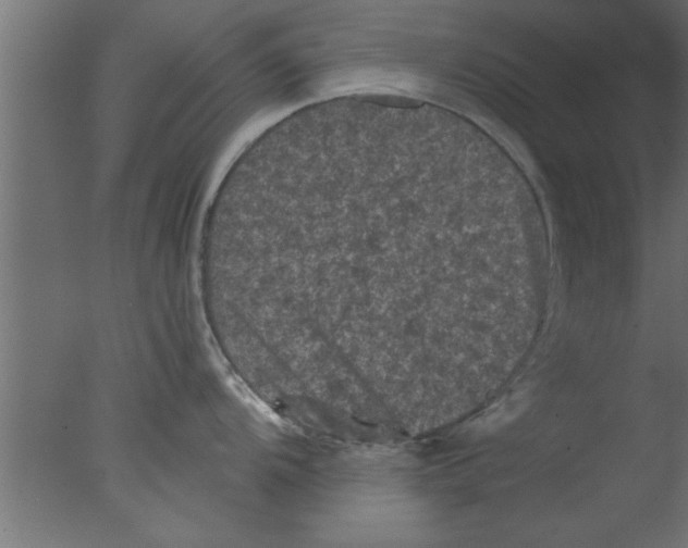 X0000076031104200610201820