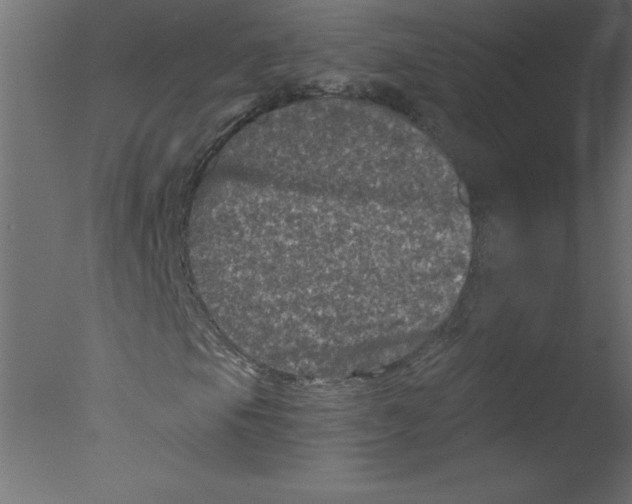 X0000076031105200610201820