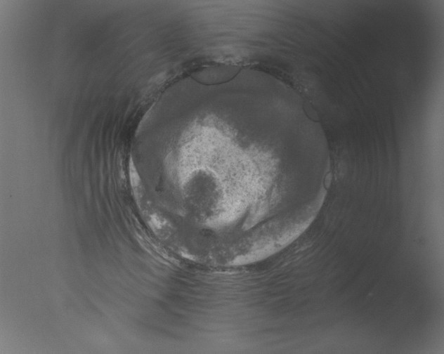 X0000076031106200610201820