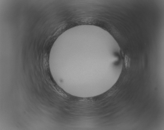 X0000076031107200610201820