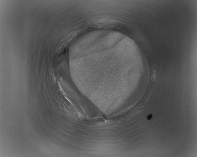 X0000076031108200610201820