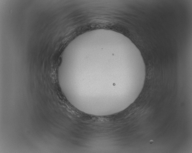 X0000076031109200610201820