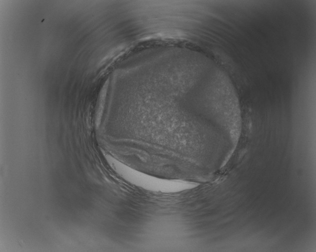 X0000076031110200610201820