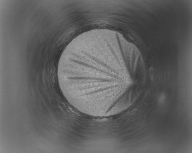 X0000076031111200610201820