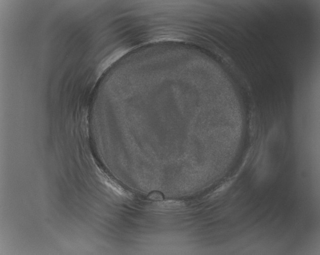 X0000076031113200610201820