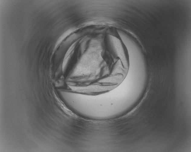 X0000076031114200610201820