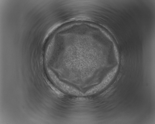 X0000076031115200610201820