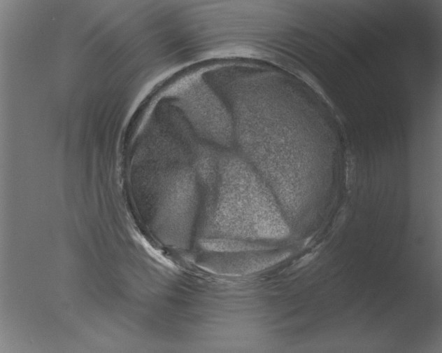 X0000076031116200610201820