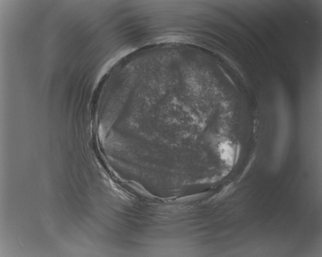 X0000076031117200610201820