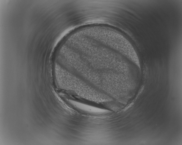 X0000076031118200610201820