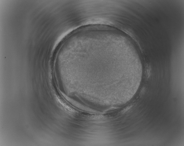 X0000076031120200610201820