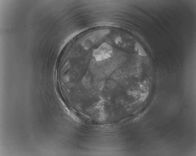 X0000076031125200610201820