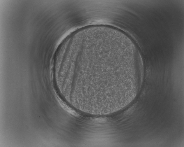 X0000076031126200610201820