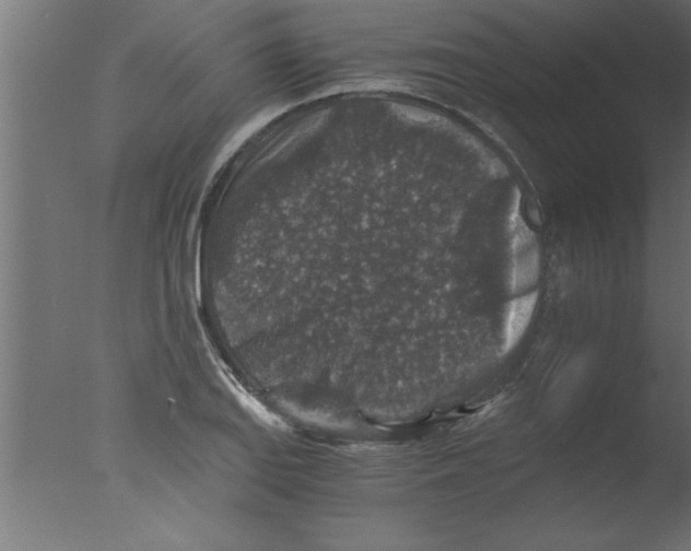 X0000076031127200610201820