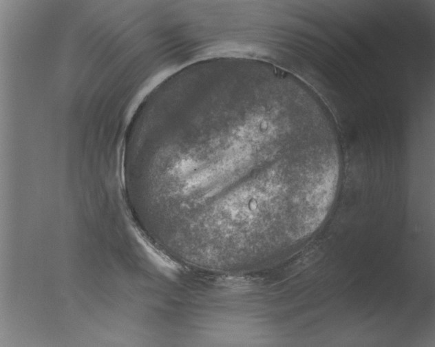 X0000076031128200610201820