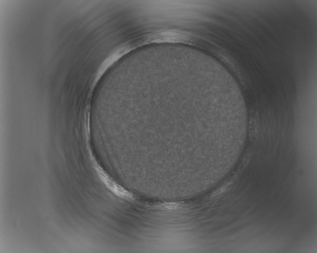 X0000076031130200610201820