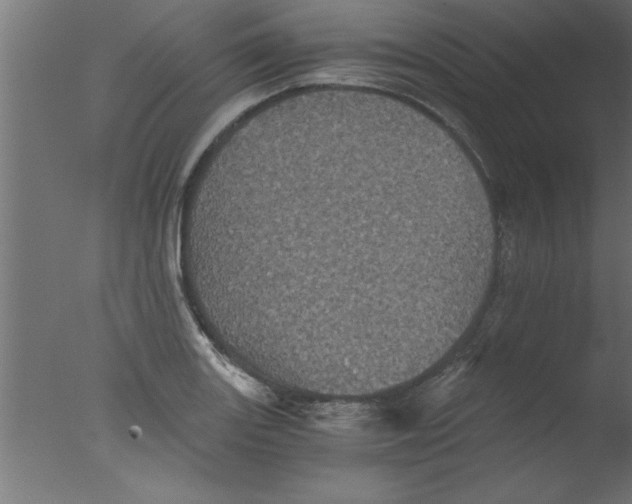 X0000076031131200610201820