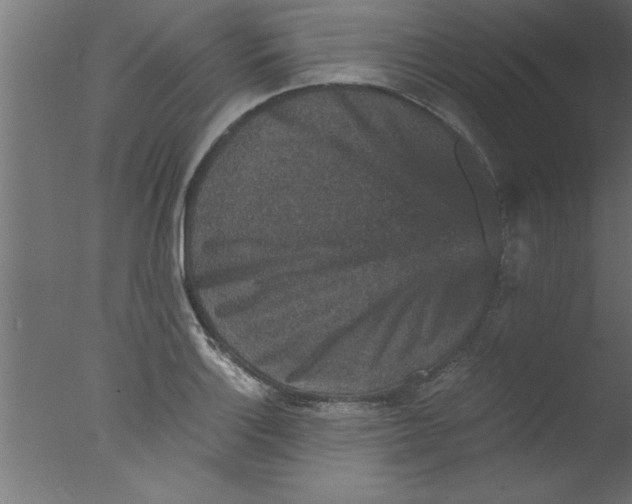 X0000076031132200610201820