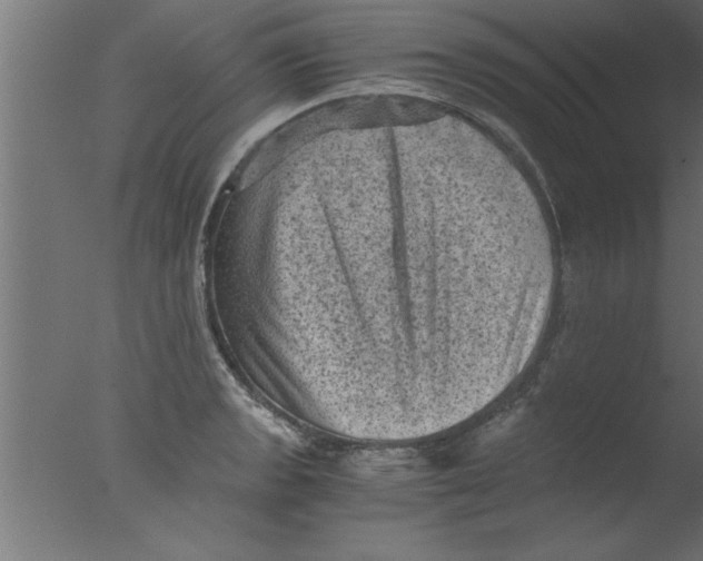 X0000076031133200610201820